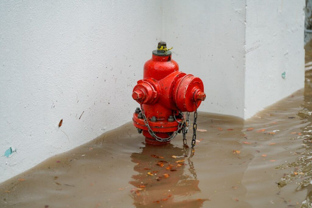 emergency drain service