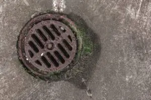 backed up drain