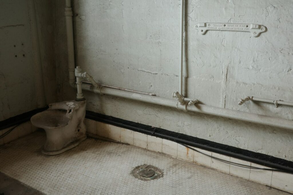 clogged toilet
